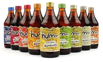 humm-kombucha.png