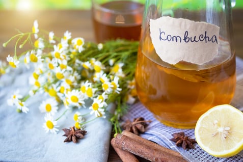 Bottle of brewed kombucha