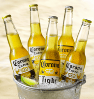 corona beer