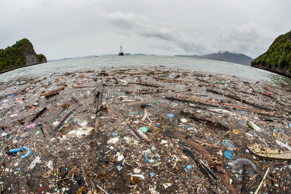 The Great Pacific Garbage Patch