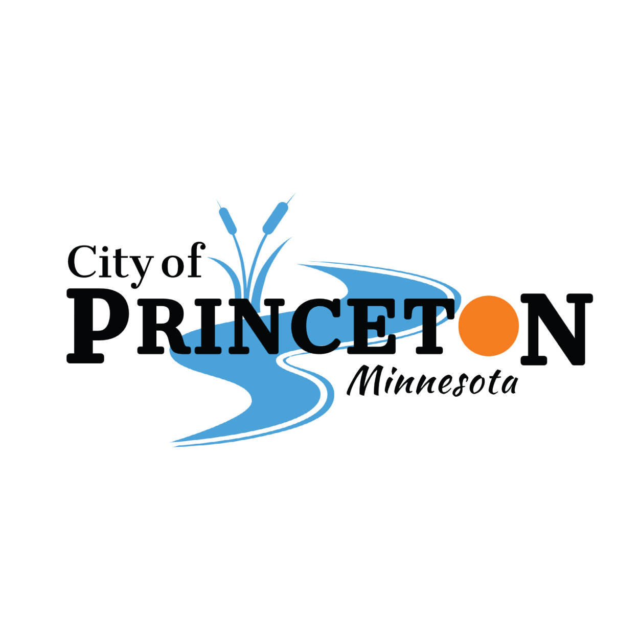 PrincetonLogo_300x300-01