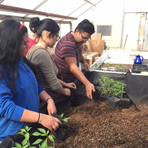Kids planting a garden